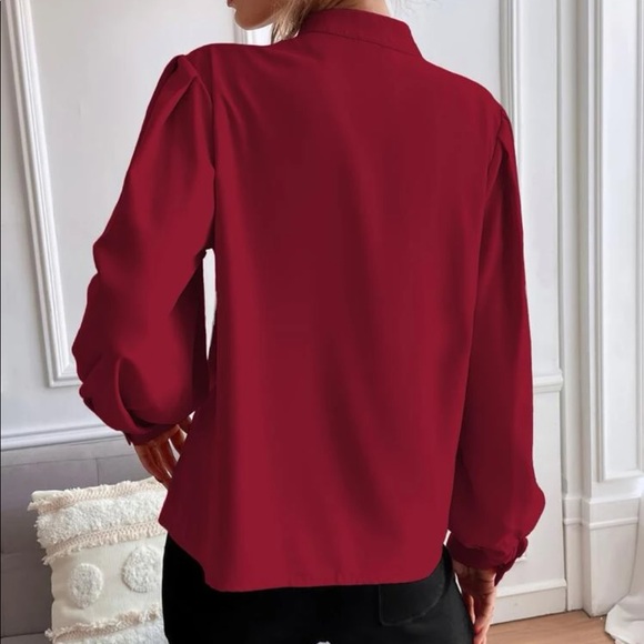 Luxurious satin bishop sleeve. Louse - Picture 9 of 15